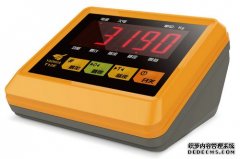 電子黄色软件大全XK3190儀表係列產品